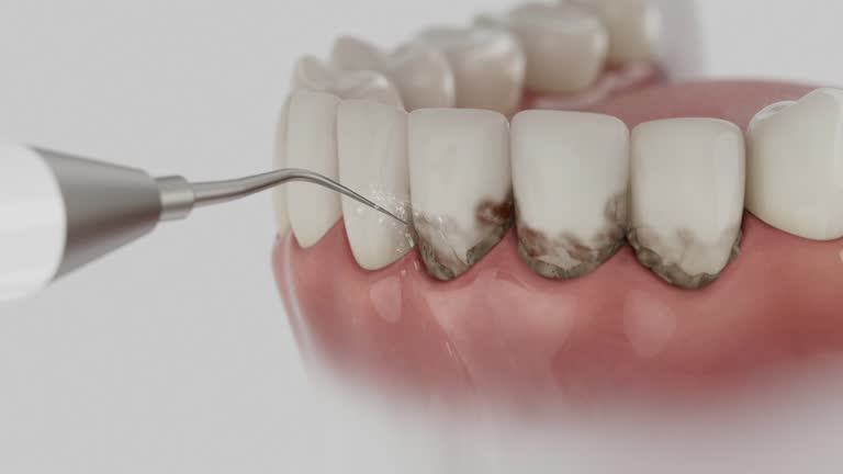 Reliable Dental contractor in Bluewell, WV by Dentist Open Now